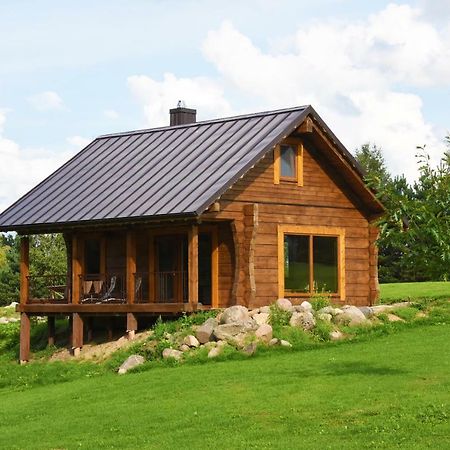 Vip Forest Dreams Villa Anykščiai Екстериор снимка