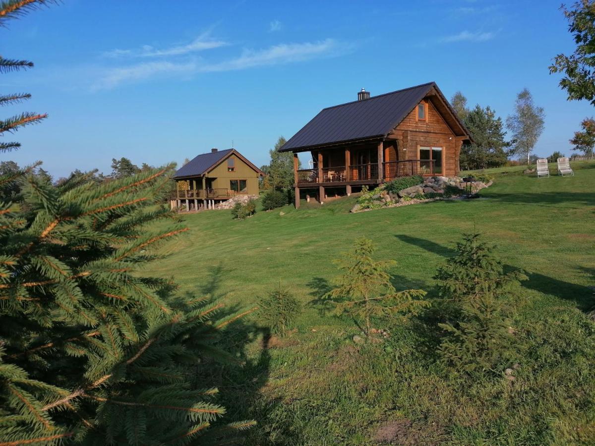 Vip Forest Dreams Villa Anykščiai Екстериор снимка