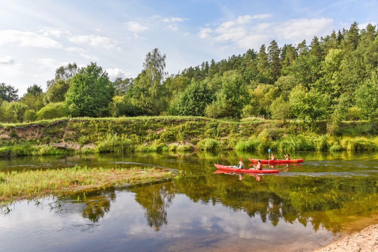 Vip Forest Dreams Villa Anykščiai Екстериор снимка