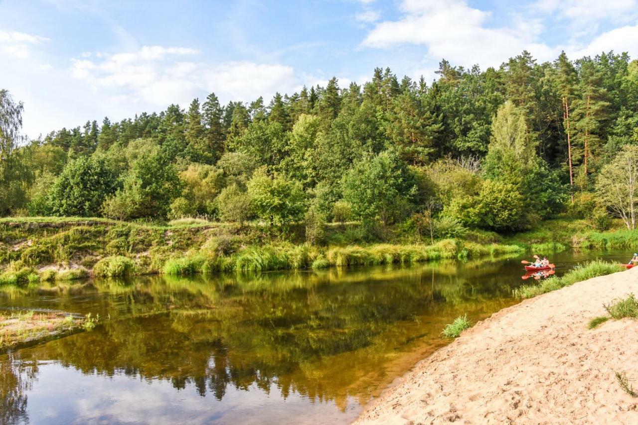 Vip Forest Dreams Villa Anykščiai Екстериор снимка