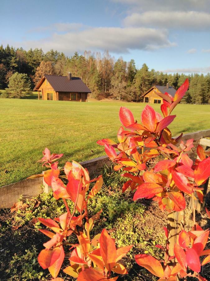 Vip Forest Dreams Villa Anykščiai Екстериор снимка