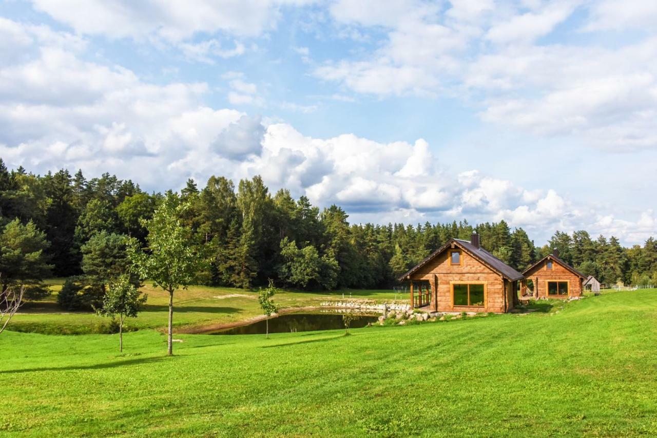 Vip Forest Dreams Villa Anykščiai Екстериор снимка