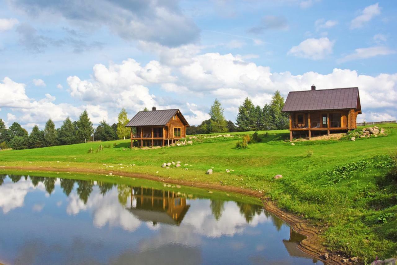 Vip Forest Dreams Villa Anykščiai Екстериор снимка