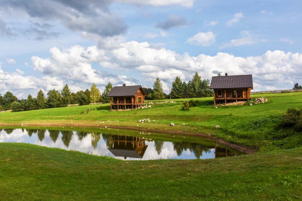 Vip Forest Dreams Villa Anykščiai Екстериор снимка
