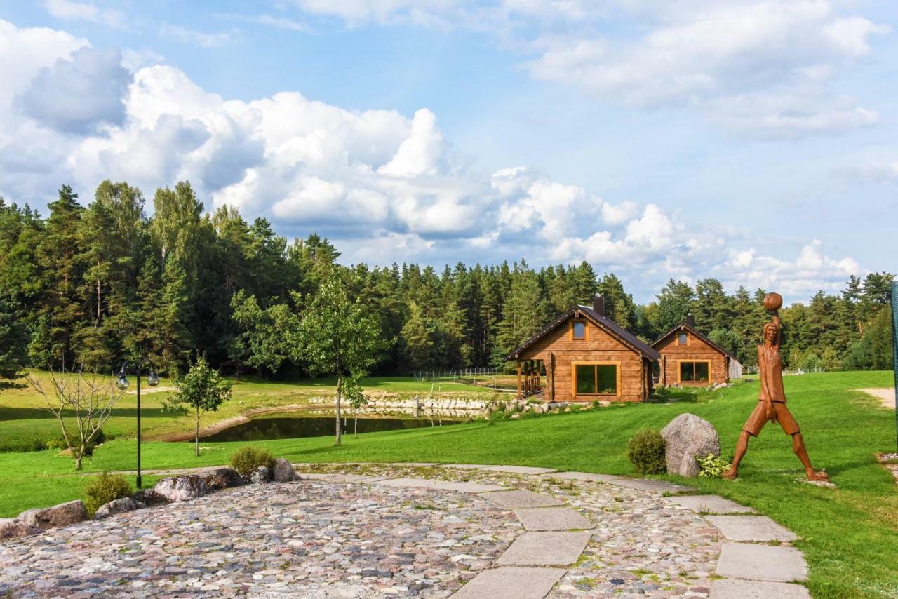 Vip Forest Dreams Villa Anykščiai Екстериор снимка