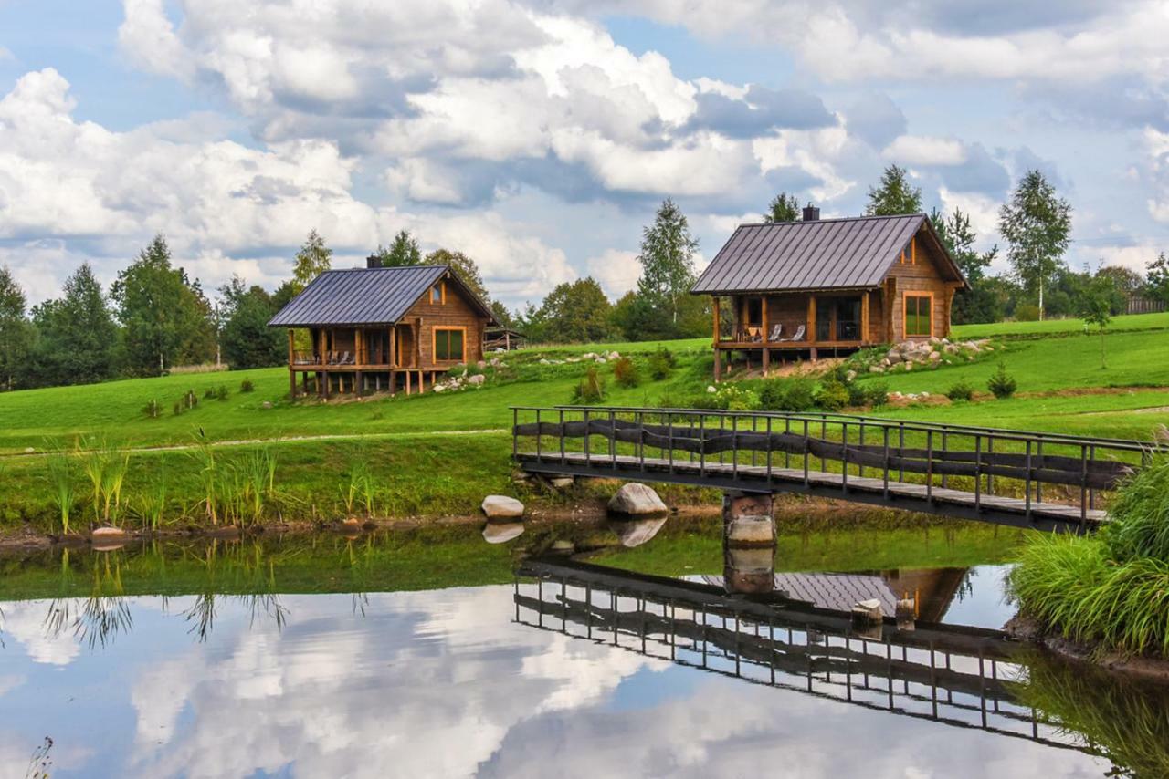 Vip Forest Dreams Villa Anykščiai Екстериор снимка