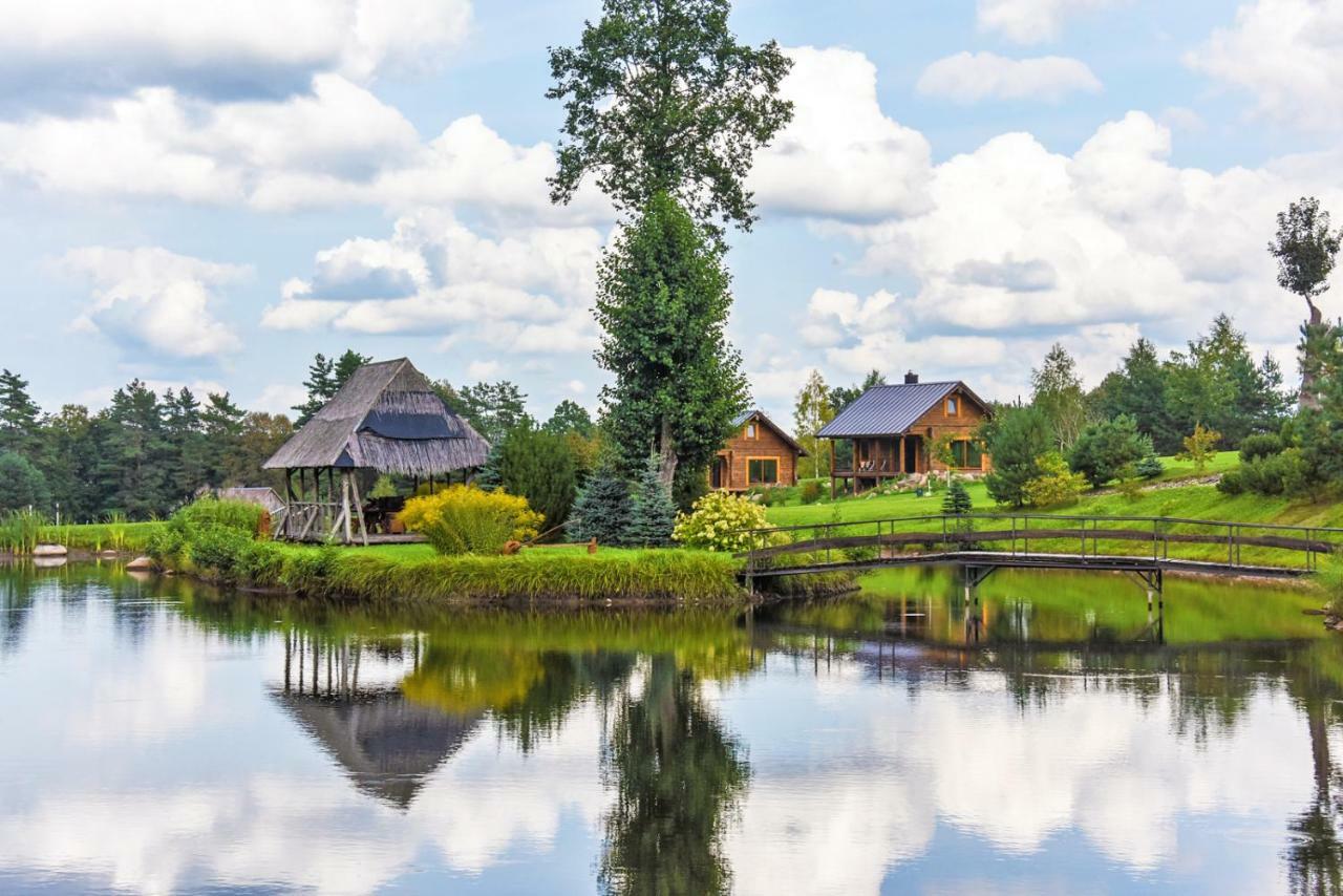 Vip Forest Dreams Villa Anykščiai Екстериор снимка